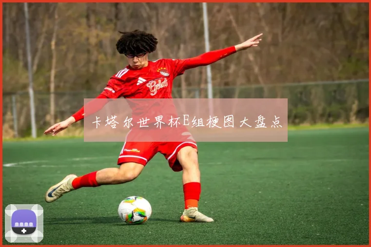 卡塔尔世界杯E组梗图大盘点