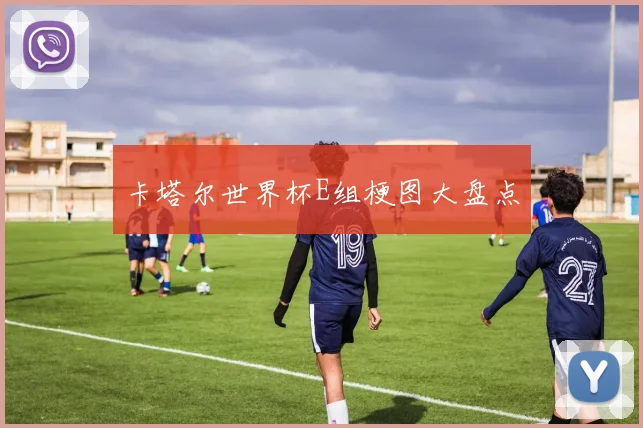 卡塔尔世界杯E组梗图大盘点
