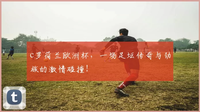 c罗荷兰欧洲杯,一场足坛传奇与劲旅的激情碰撞!