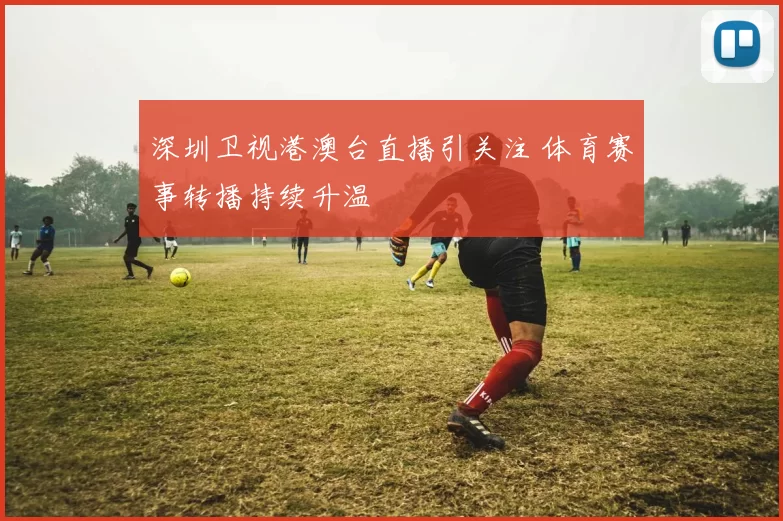深圳卫视港澳台直播引关注 体育赛事转播持续升温